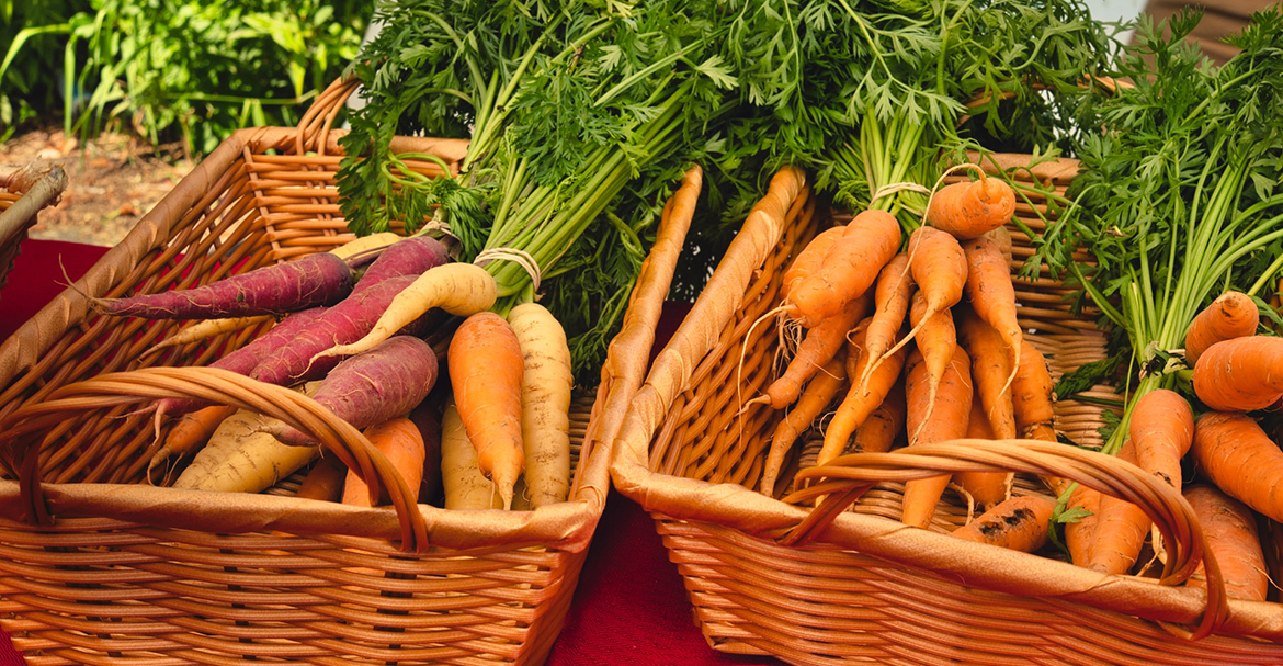 The Truth Is You Are Not The Only Person Concerned About organic