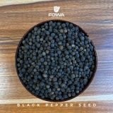 BLACK PEPPER SEEDS