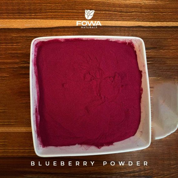 BLUEBERRY FRUIT POWDER