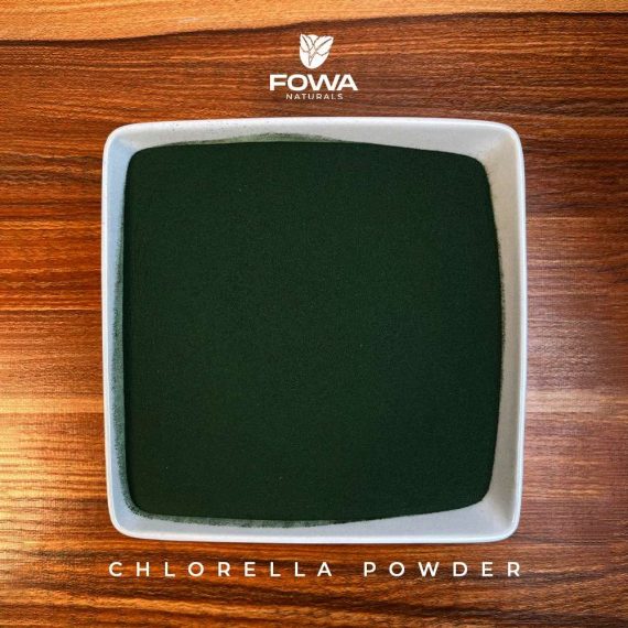 CHLORELLA POWDER