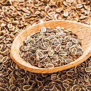 DILL SEEDS