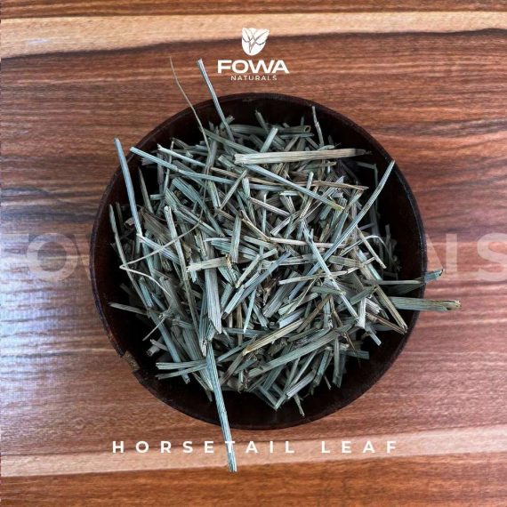 HORSETAIL LEAF