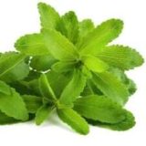 STEVIA LEAF