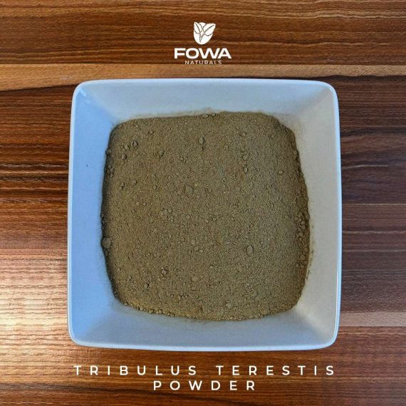 TRIBULUS TERESTIS HERB POWDER