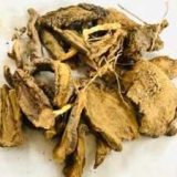 GENTIAN ROOT