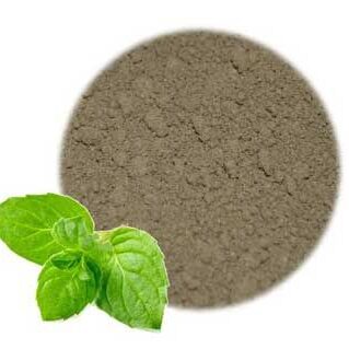 peppermint-leaf-powder-1-e1651785579542