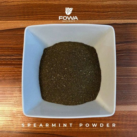 SPEARMINT LEAF POWDER