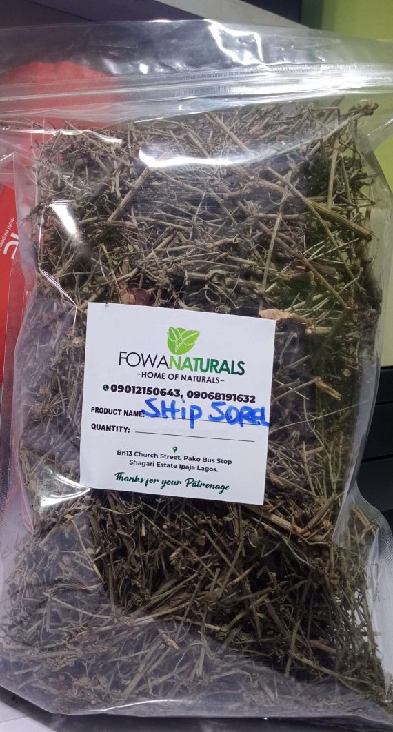 SHIP SOREL HERB