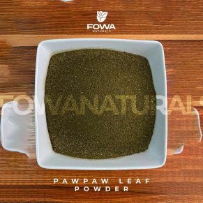 PAPAYA/PAWPAW LEAF POWDER