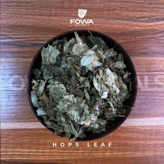 HOPS LEAF