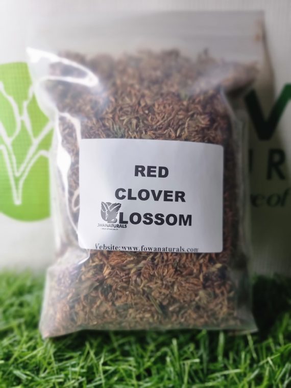RED CLOVER BLOSSOM