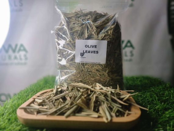 OLIVE LEAVES