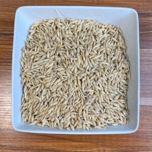 Barley Seed