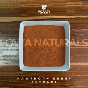 Hawthorn Berry Extract Powder