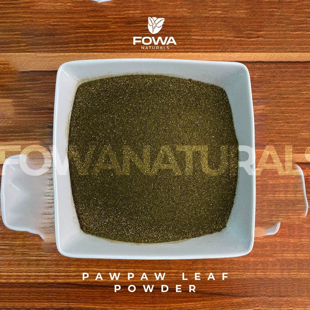 Papaya/Pawpaw Leaf Powder