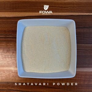 Shatavari Root Powder