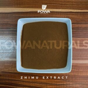 Zhi Mu Extract Powder