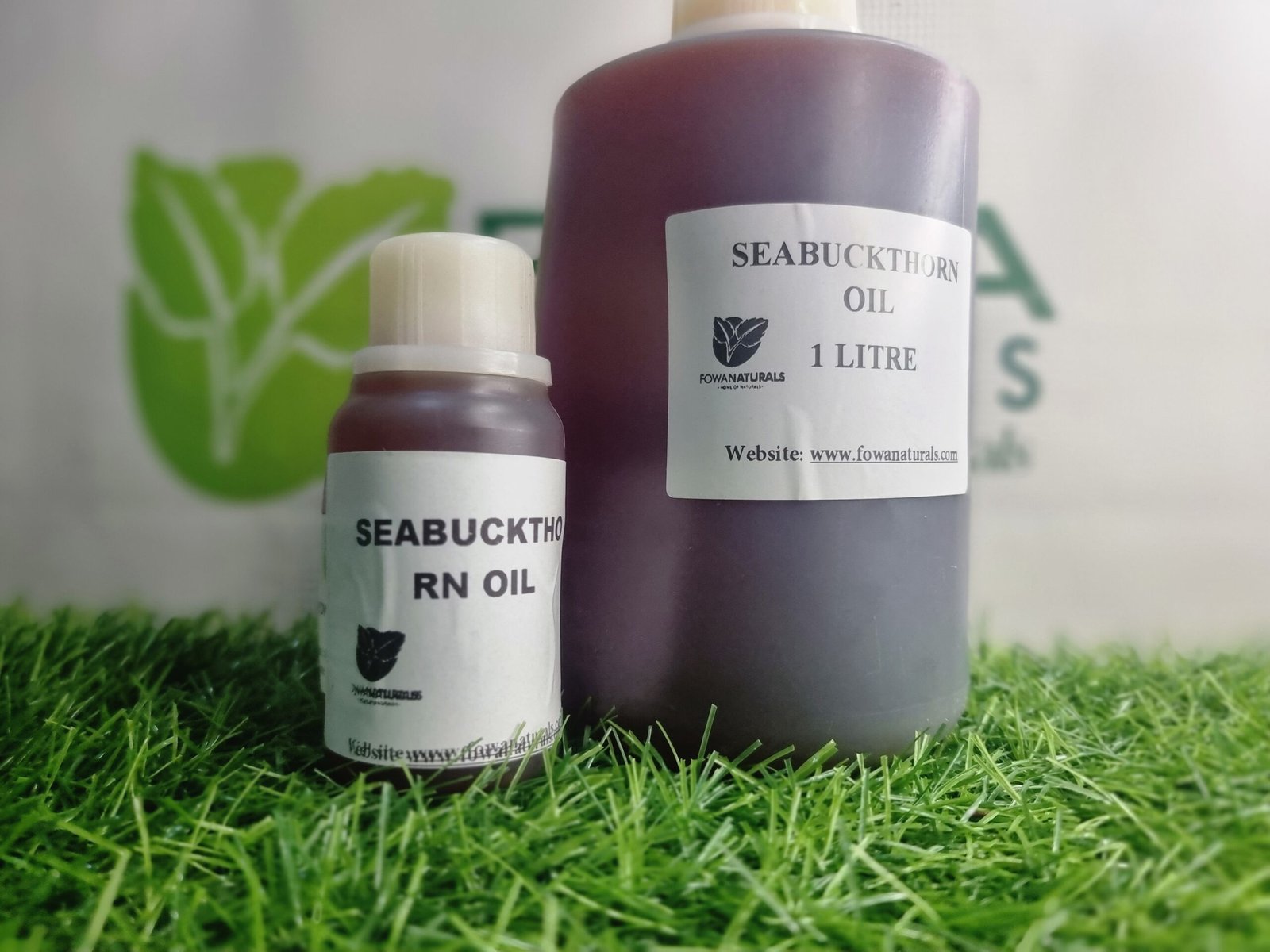 Sea Buckthorn carrier oil