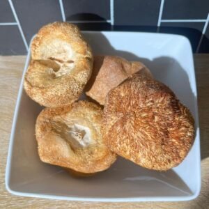 Lion's Mane Whole Mushroom
