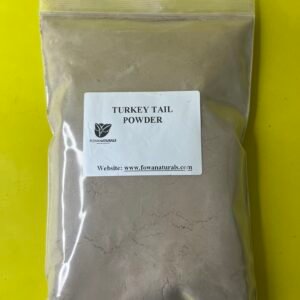 Turkey Tail Mushroom Powder