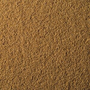 Amaranth seeds